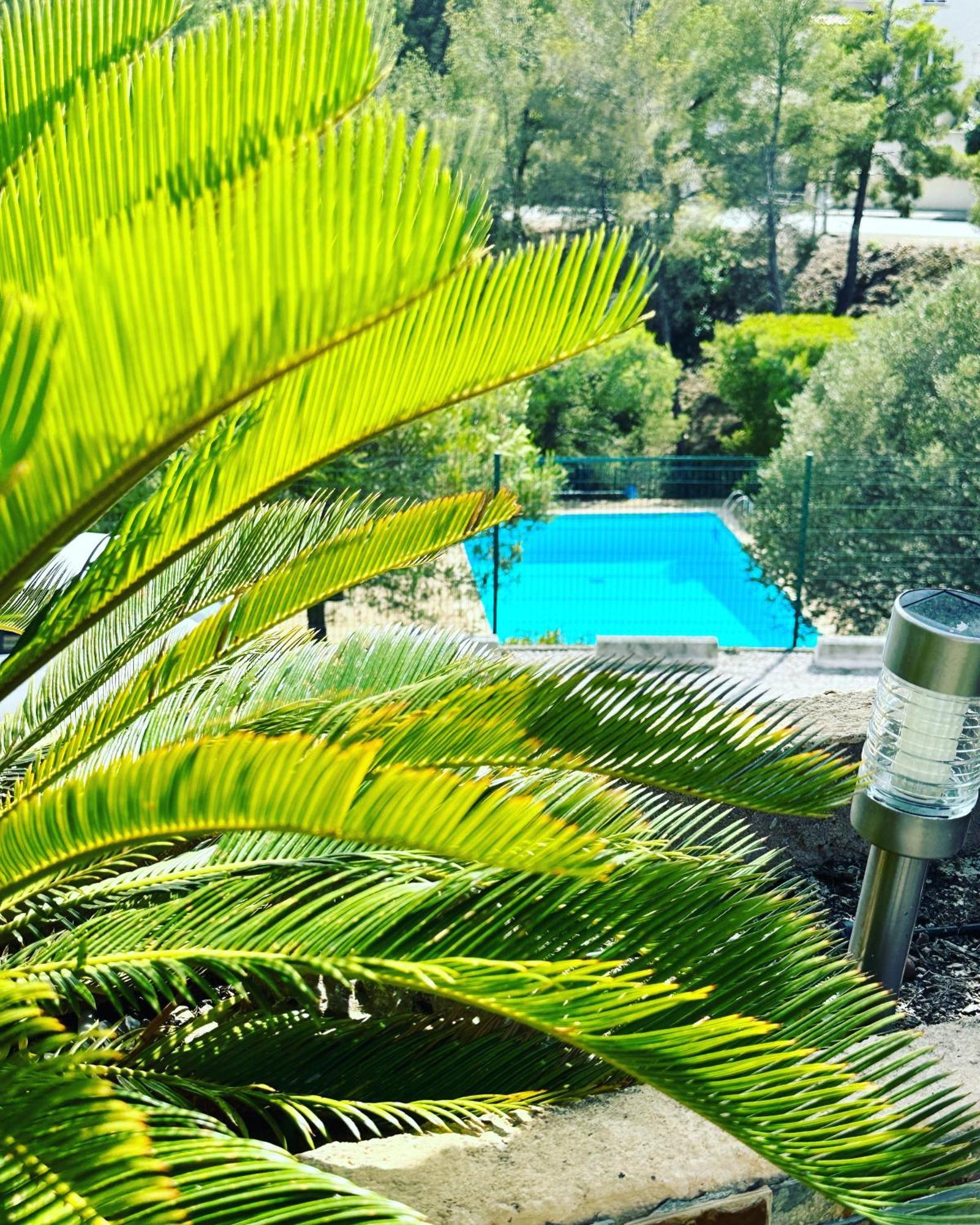Vuemer Bandol - Grande Terrasse De 45M2 Vue Mer Piscine Parking Eksteriør bilde